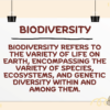 Biodiversity Change Over Geologic Time - Image 3